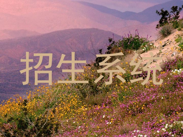 招生系统