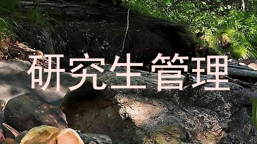 研究生管理