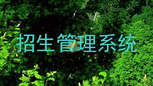 招生管理系统