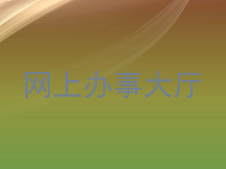 网上办事大厅
