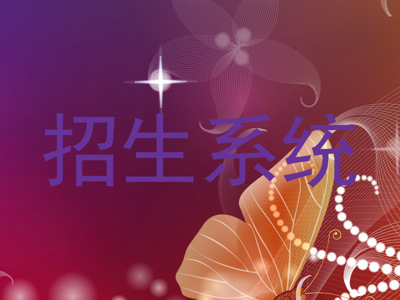 招生系统