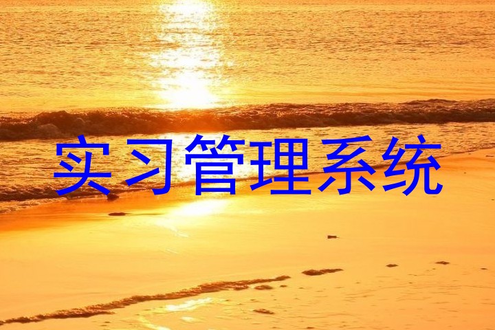 实习管理系统
