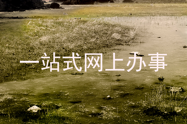 一站式网上办事