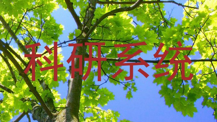 科研系统