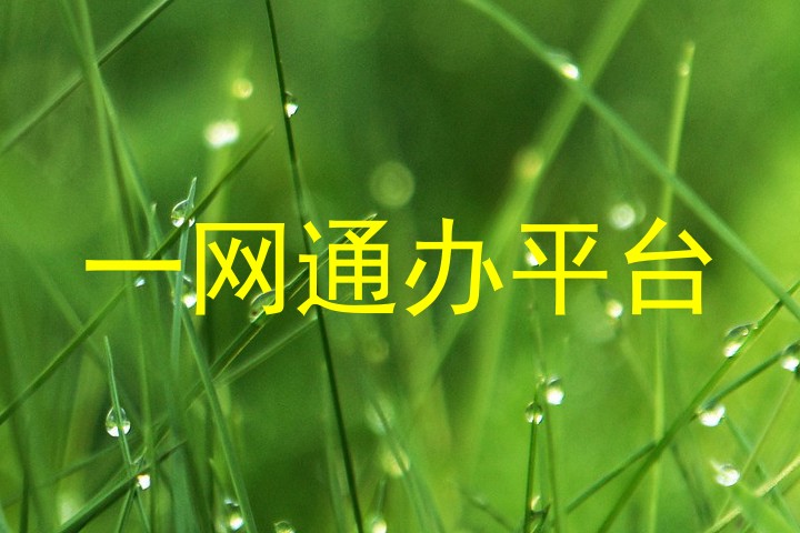 一网通办平台