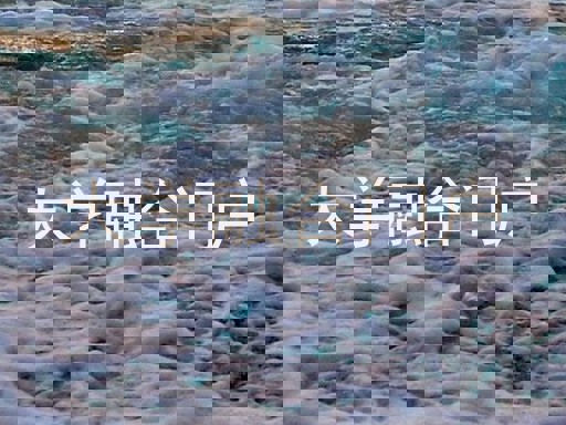 大学融合门户