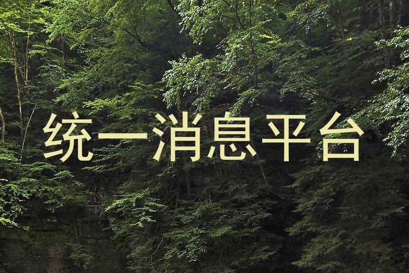 统一消息平台