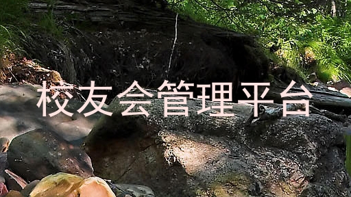 校友会管理平台