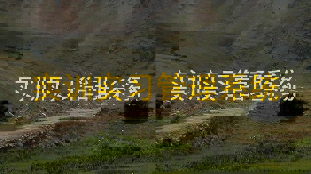 实训实习管理系统