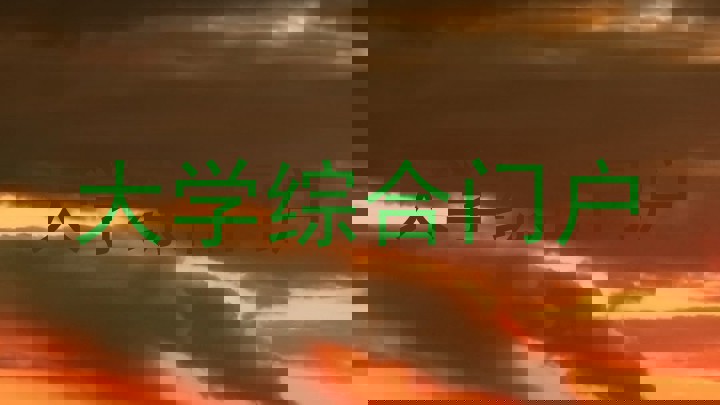 大学综合门户