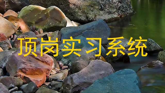顶岗实习系统