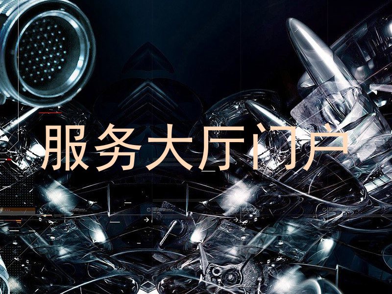 服务大厅门户