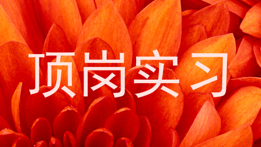 顶岗实习