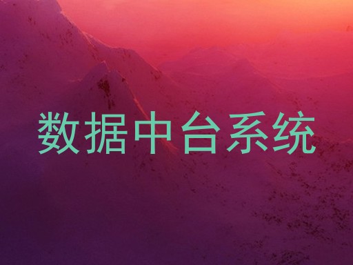 数据中台系统