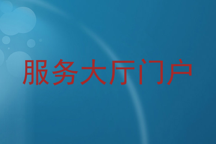 服务大厅门户
