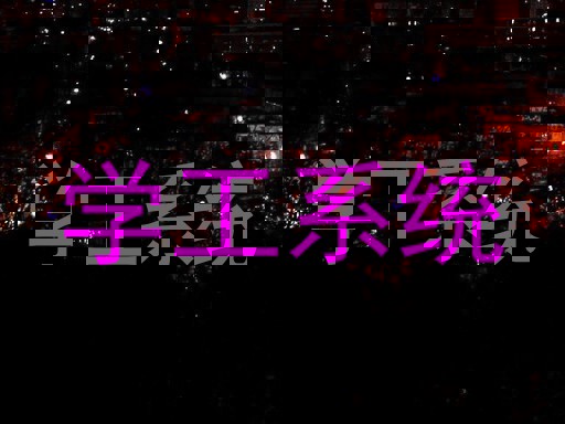 学工系统