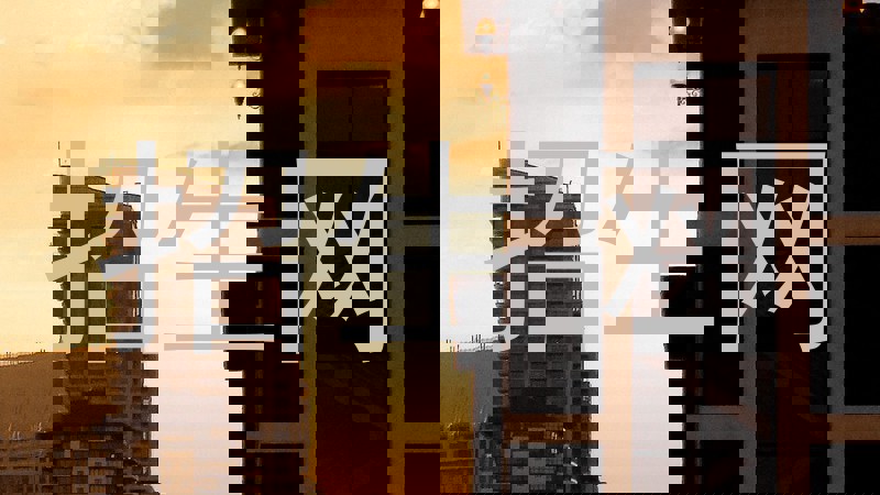 招生网