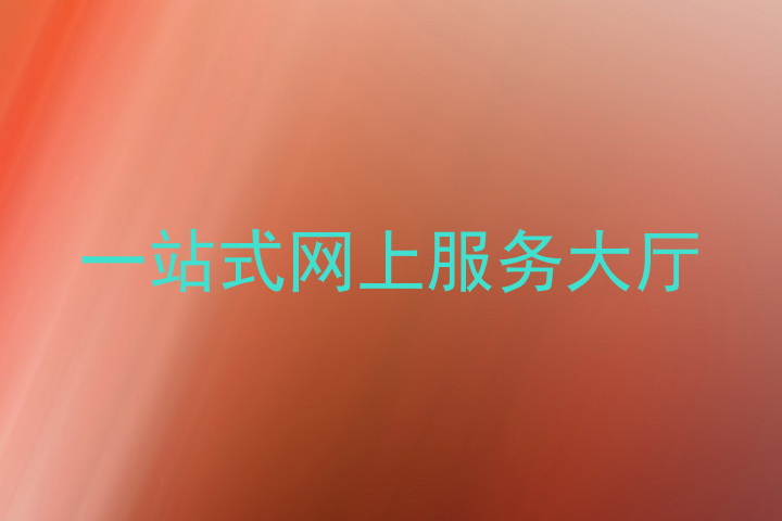 一站式网上服务大厅