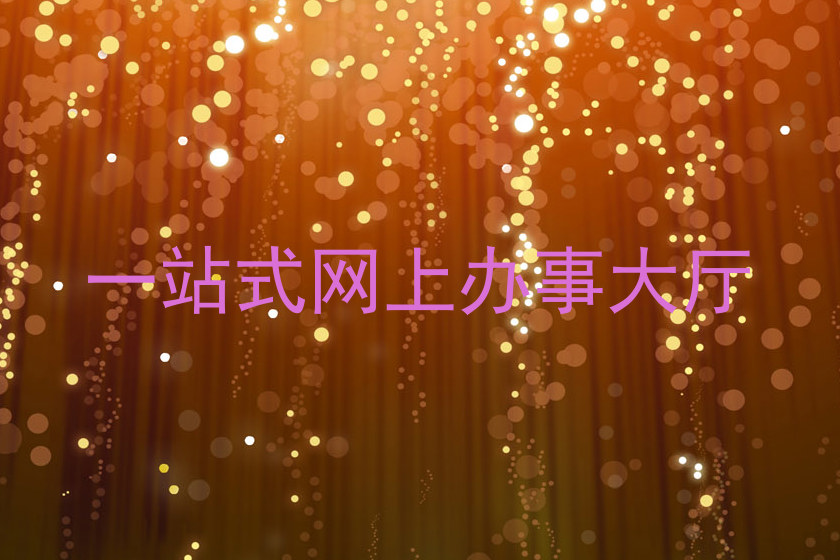 一站式网上办事大厅