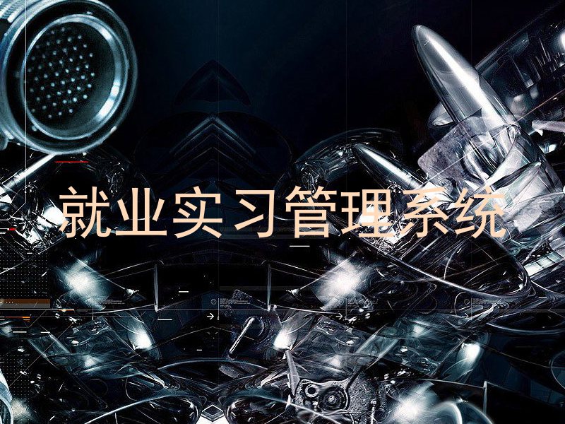 就业实习管理系统
