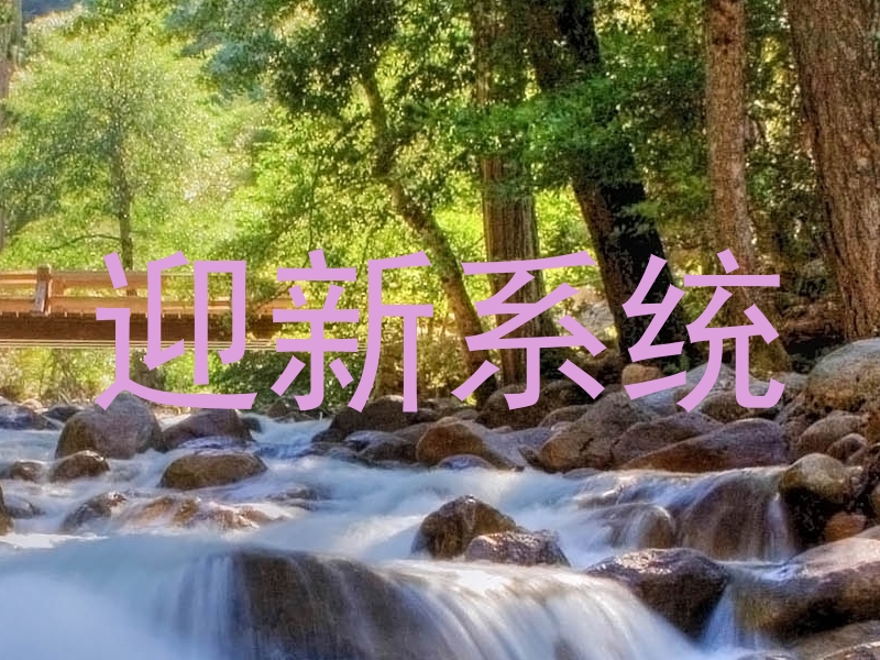 迎新系统