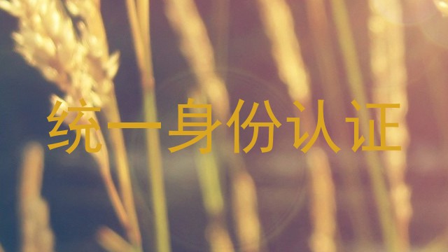 统一身份认证