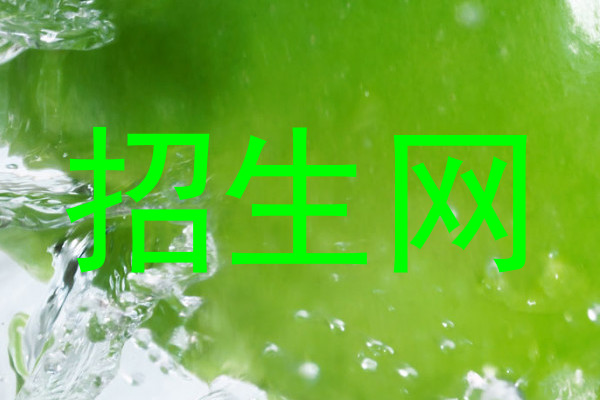 招生网