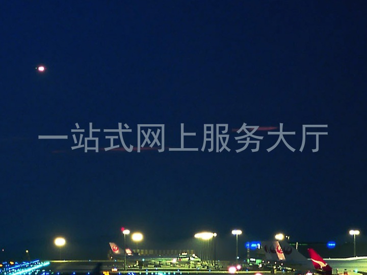 一站式网上服务大厅