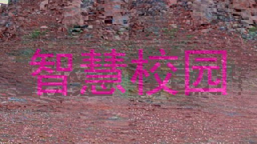 智慧校园