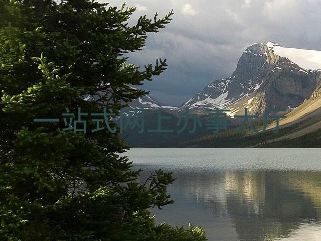 一站式网上办事大厅