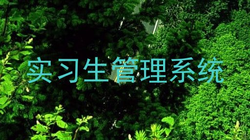 实习生管理系统