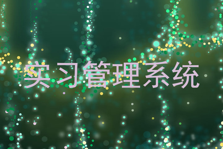 实习管理系统