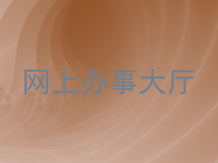 网上办事大厅