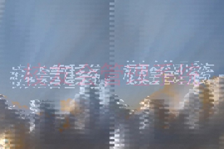 校友会管理系统