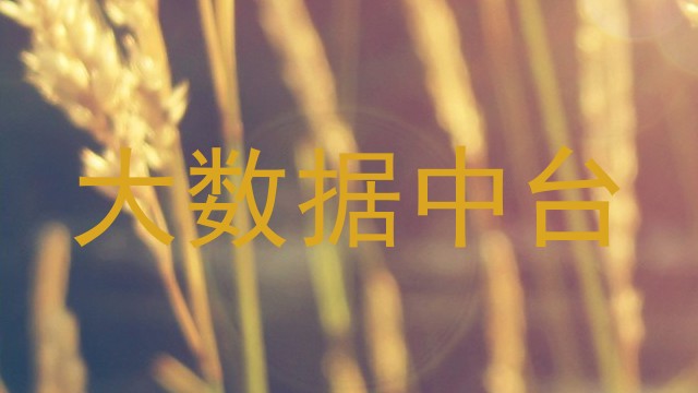 大数据中台