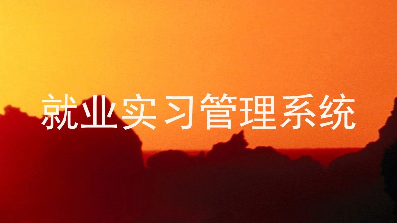 就业实习管理系统