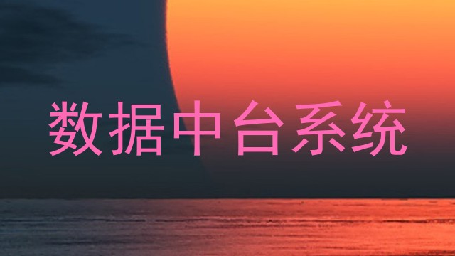 数据中台系统