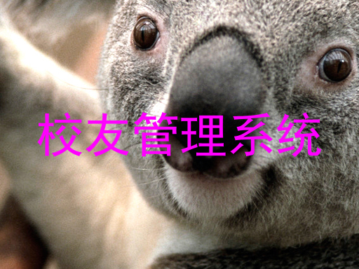 校友管理系统