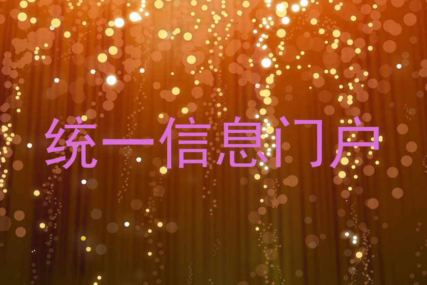 统一信息门户