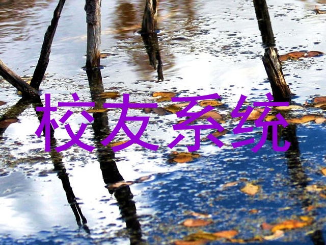 校友系统