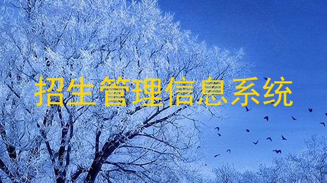 招生管理信息系统