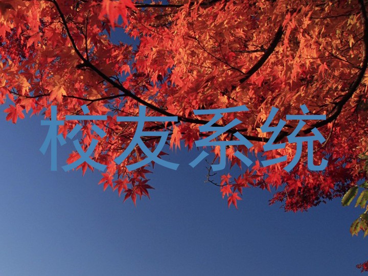 校友系统