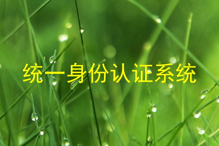 统一身份认证系统