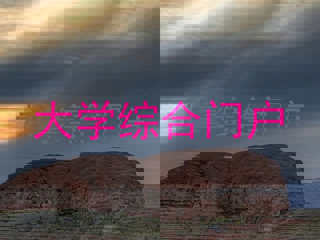 大学综合门户