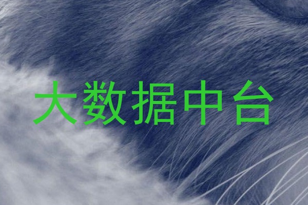 大数据中台
