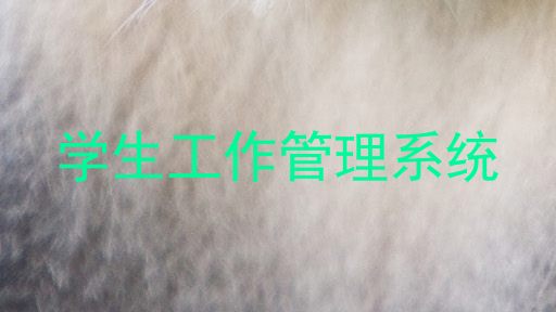学生工作管理系统