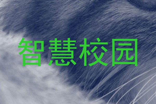 智慧校园