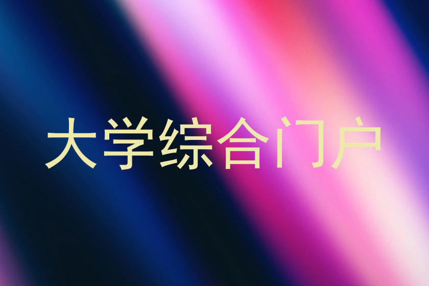 大学综合门户