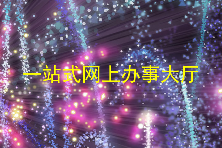 一站式网上办事大厅