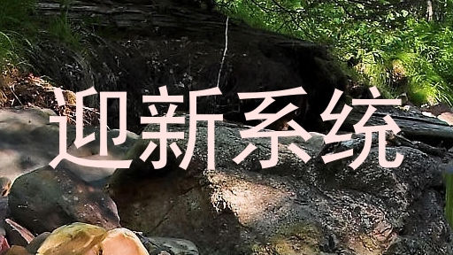 迎新系统